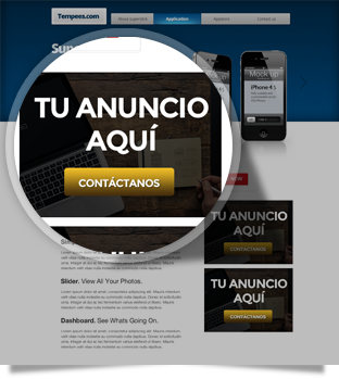 Posicionamiento Web